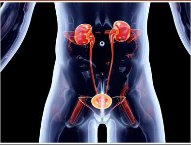 Tratamiento de enfermedades de próstata en Monterrey